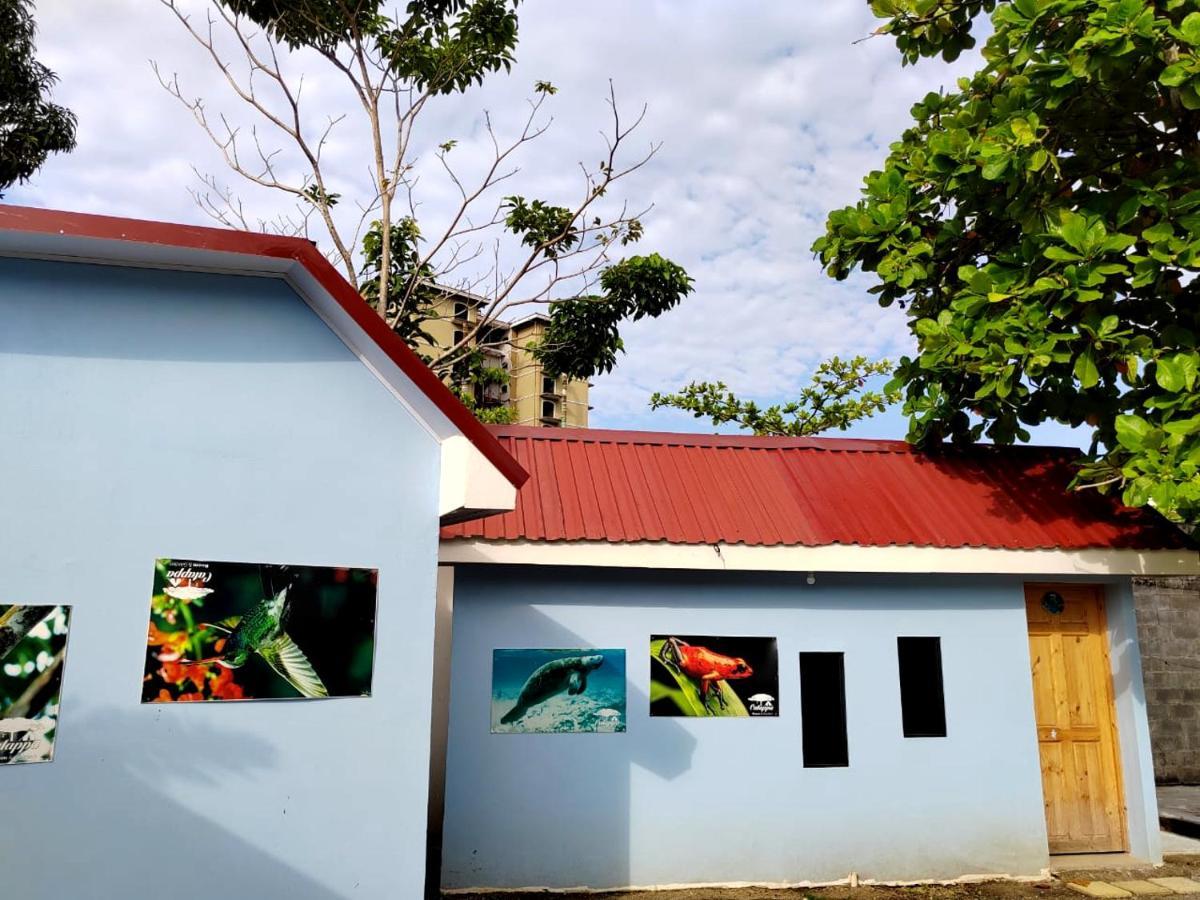 Hotel Catappa Jaco Exterior photo