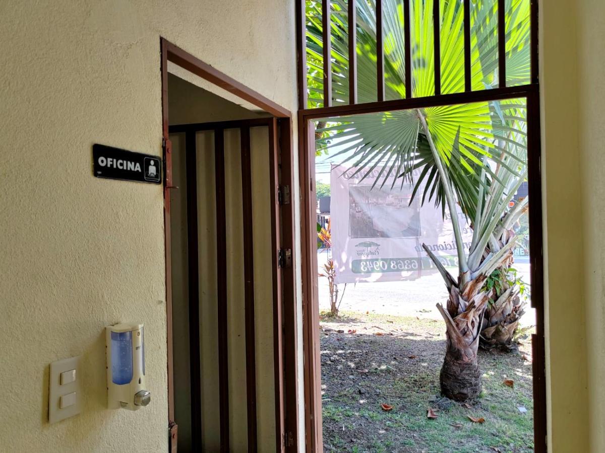 Hotel Catappa Jaco Exterior photo