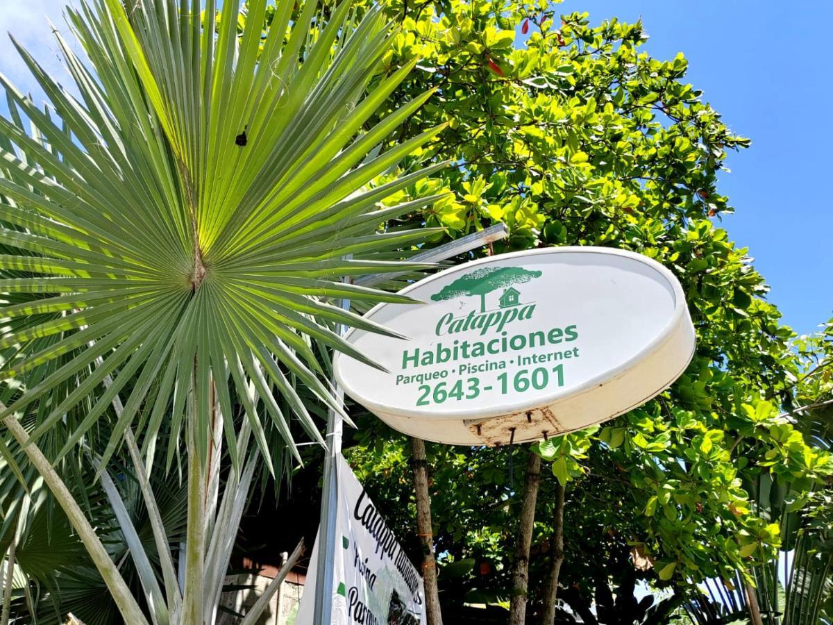 Hotel Catappa Jaco Exterior photo